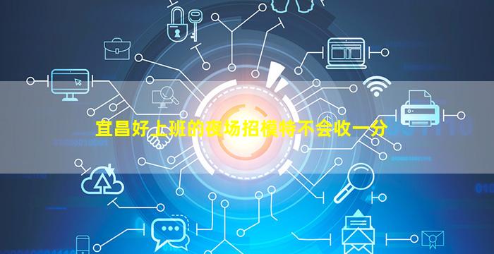 商丘夜场招聘